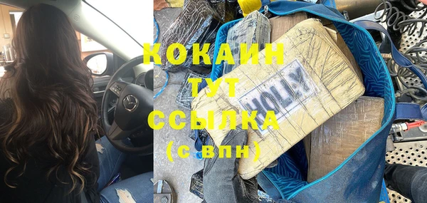 стафф Кодинск