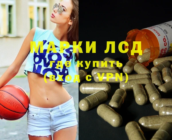 стафф Кодинск