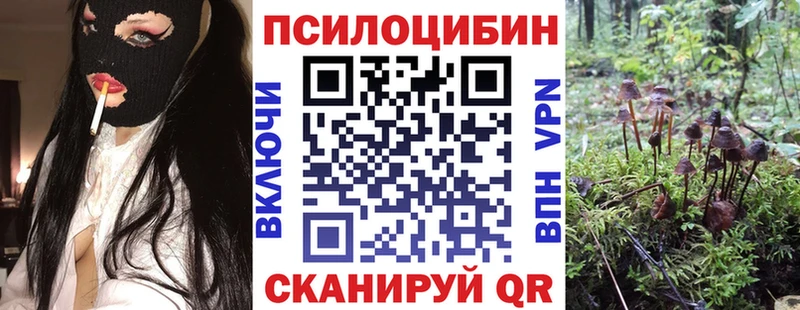 Купить  Зима  Галлюциногенные грибы мицелий 